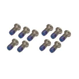 Diamond Disc Screws - Bag of 10